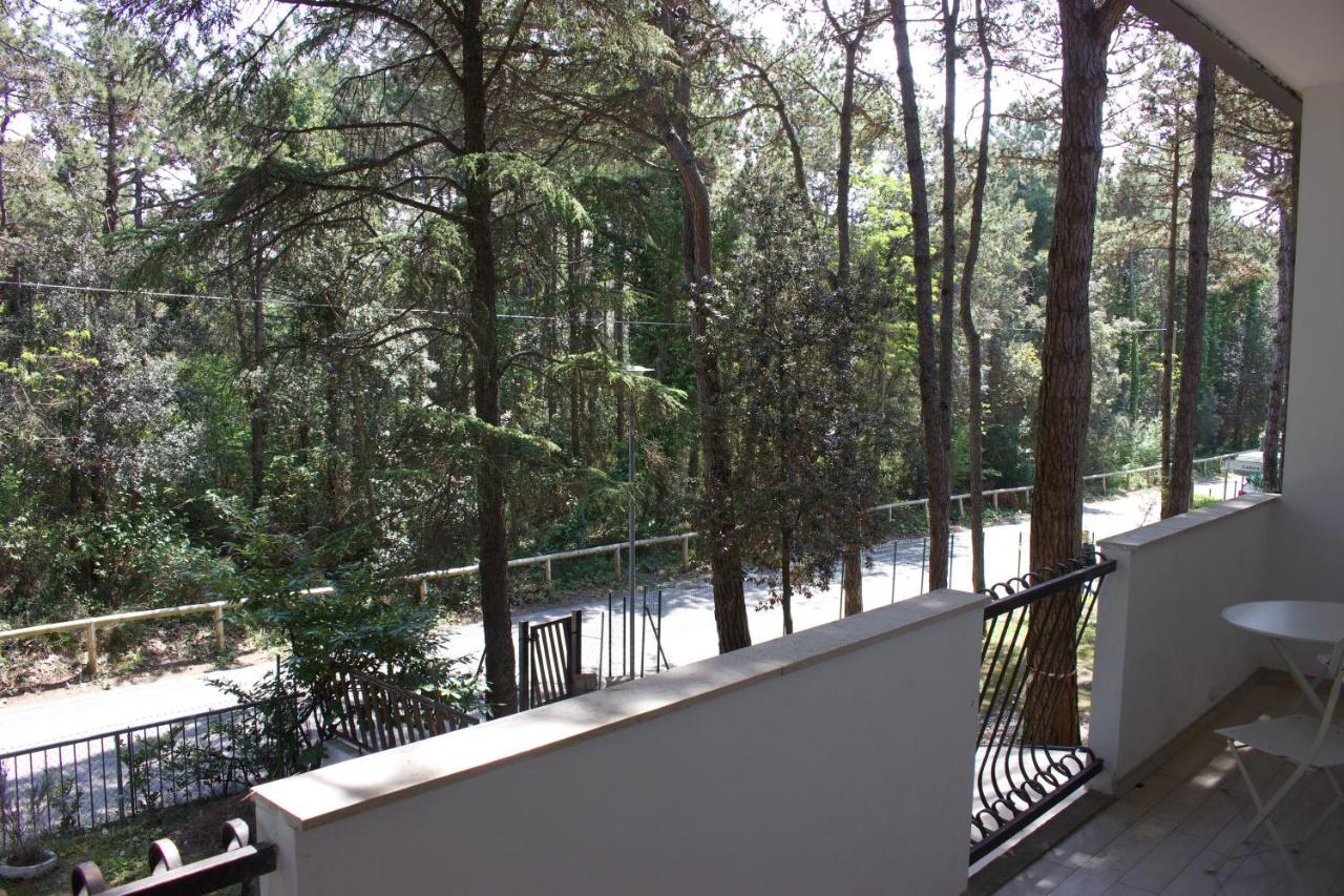 Villa Antonietta 3, Tra Pineta E Mare 비비오네 외부 사진
